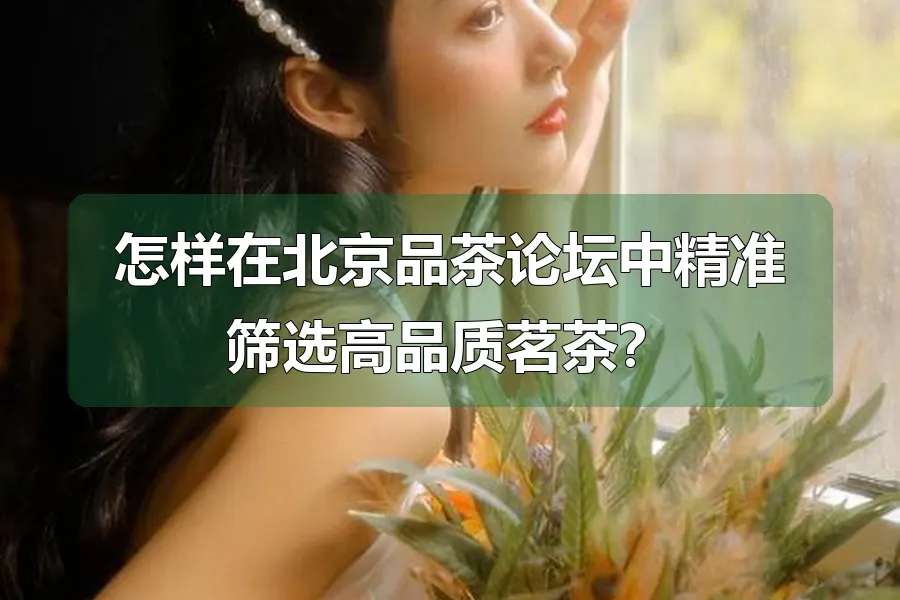 怎样在北京品茶论坛中精准筛选高品质茗茶？